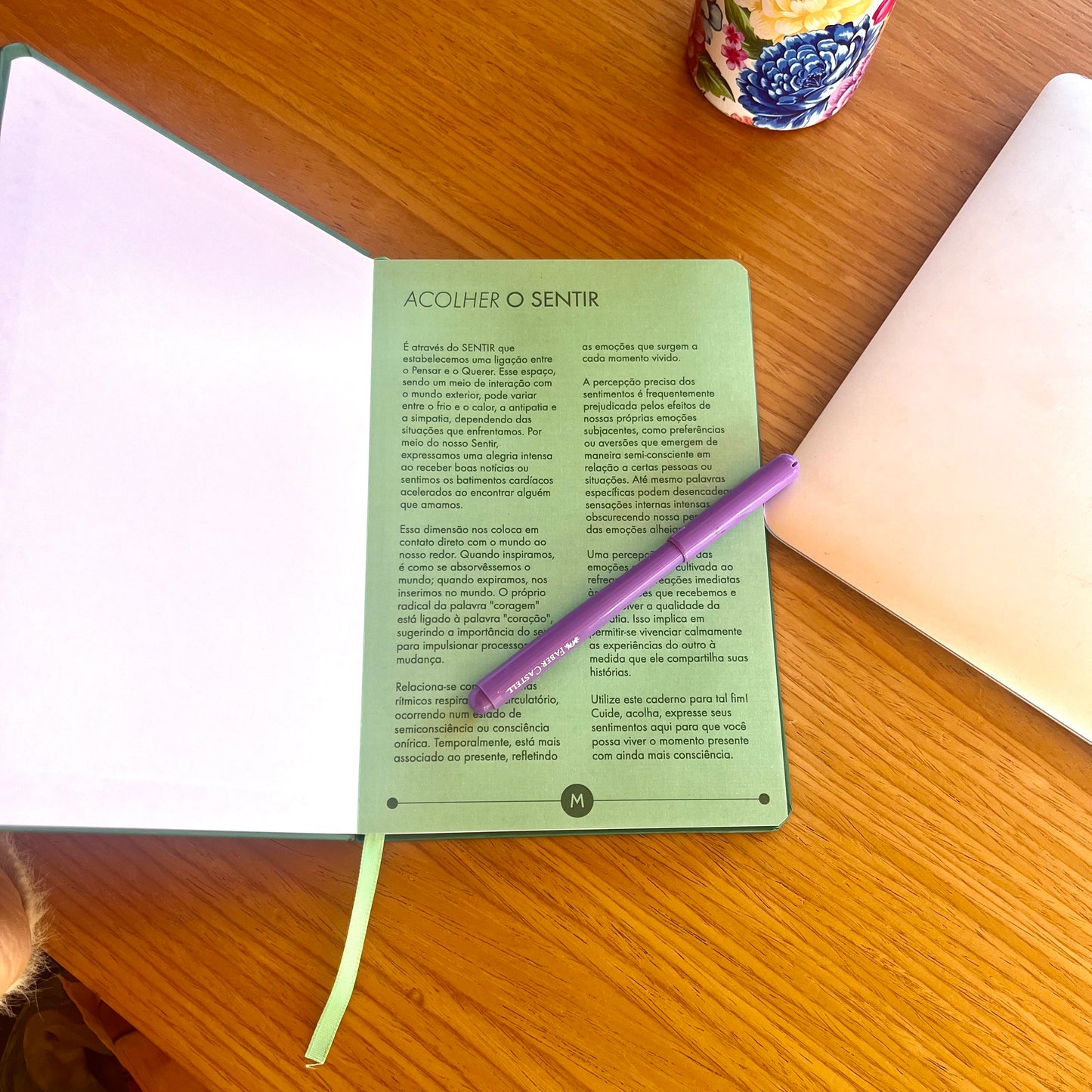 Caderno ACOLHER O SENTIR