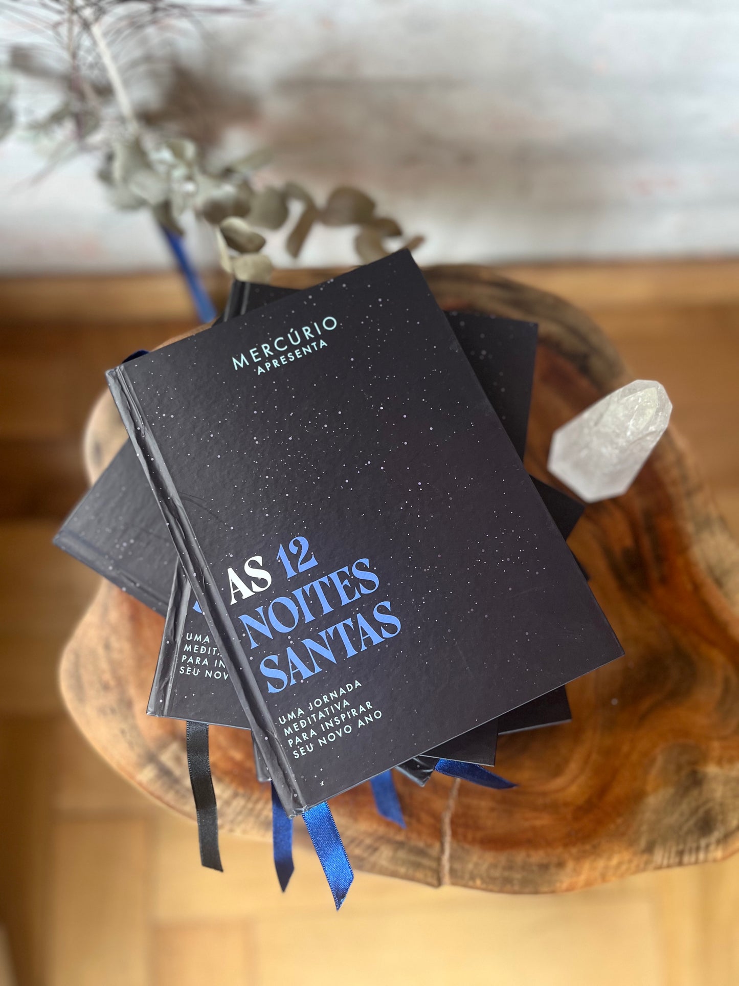 Journal AS 12 NOITES SANTAS
