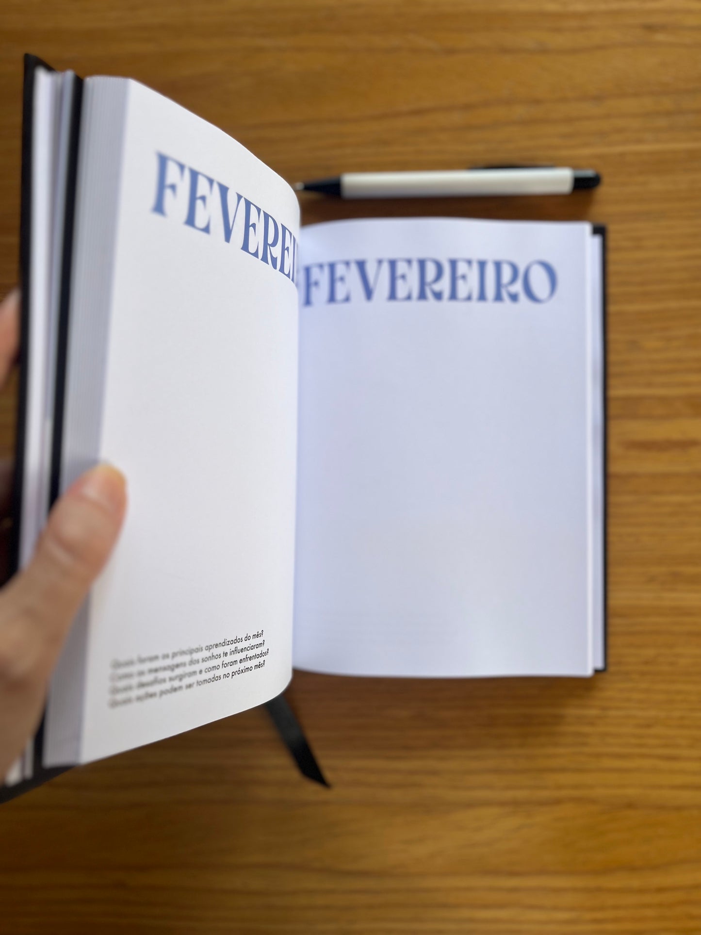 Journal AS 12 NOITES SANTAS