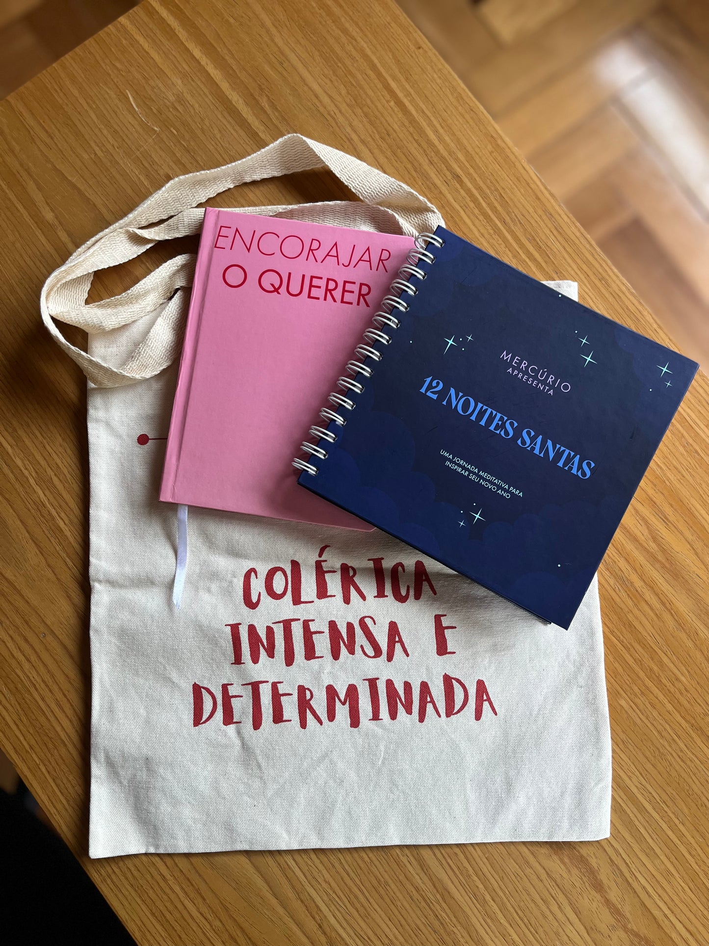 Kit VONTADE & AÇÃO — Journal 12 Noites + Caderno Agir + Bolsa Colérica
