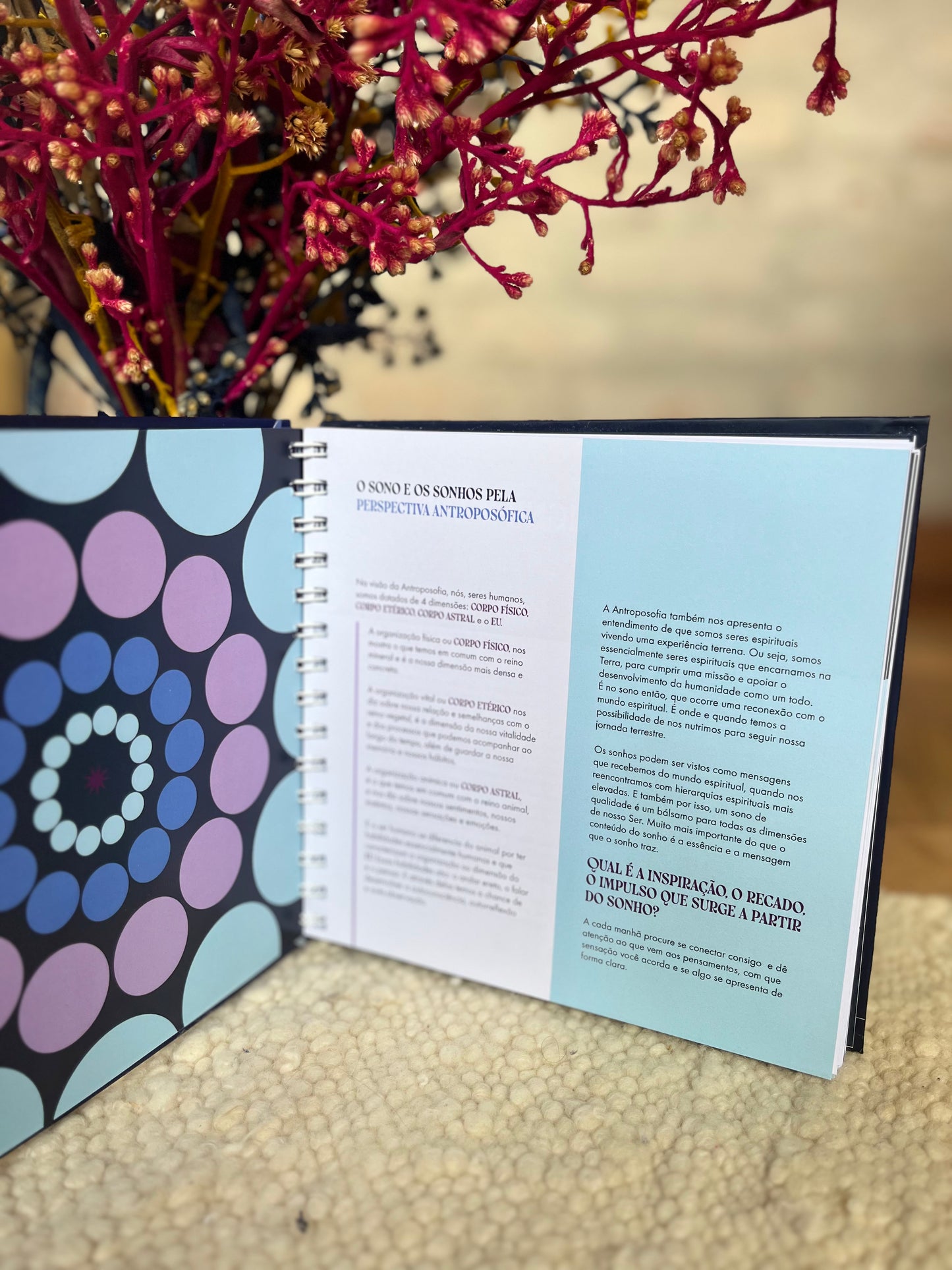 Journal AS 12 NOITES SANTAS - nova edição