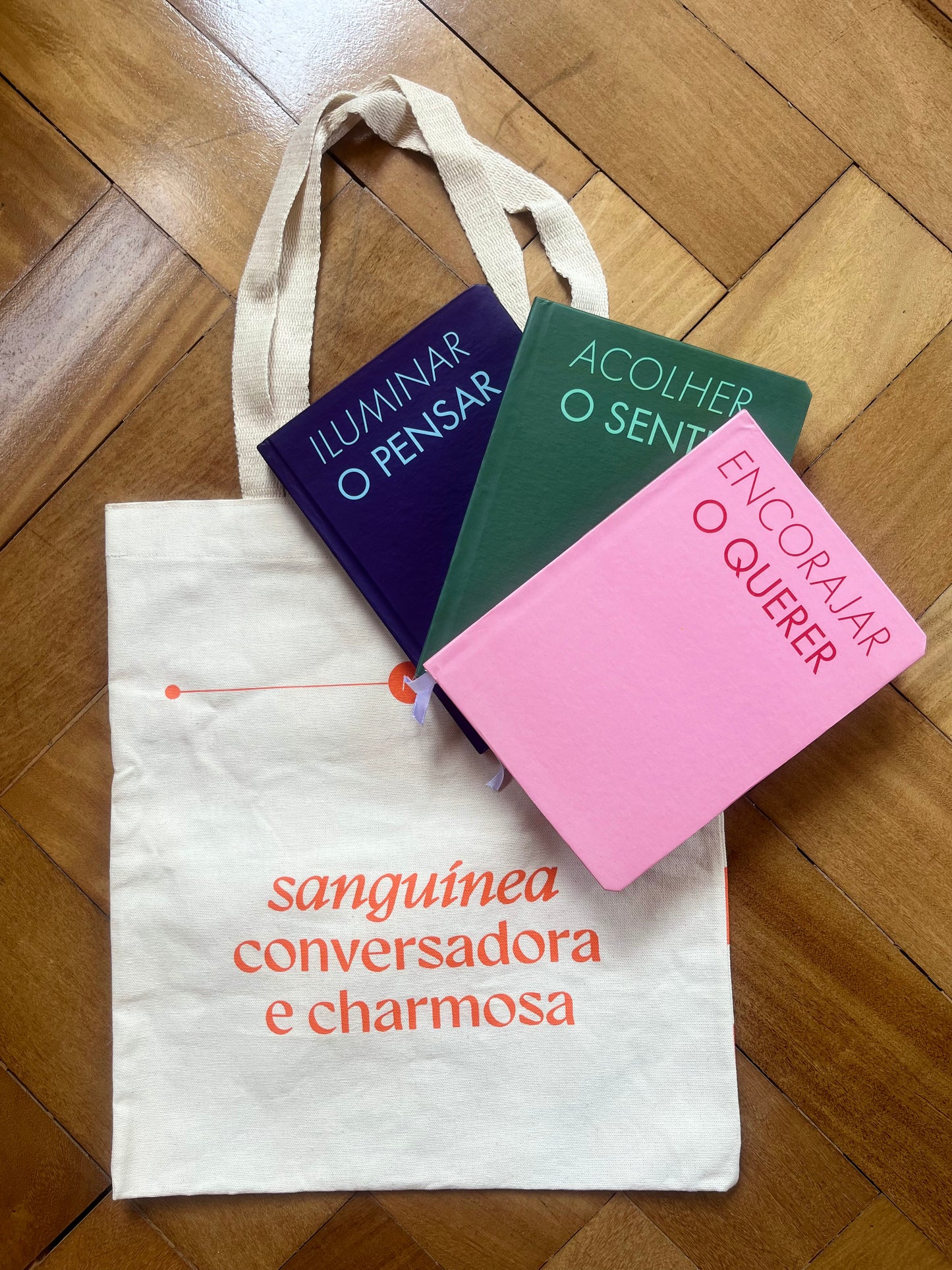 Kit CAMINHOS & METAMORFOSES — Cadernos Pensar, Sentir e Querer + Bolsa Sanguínea
