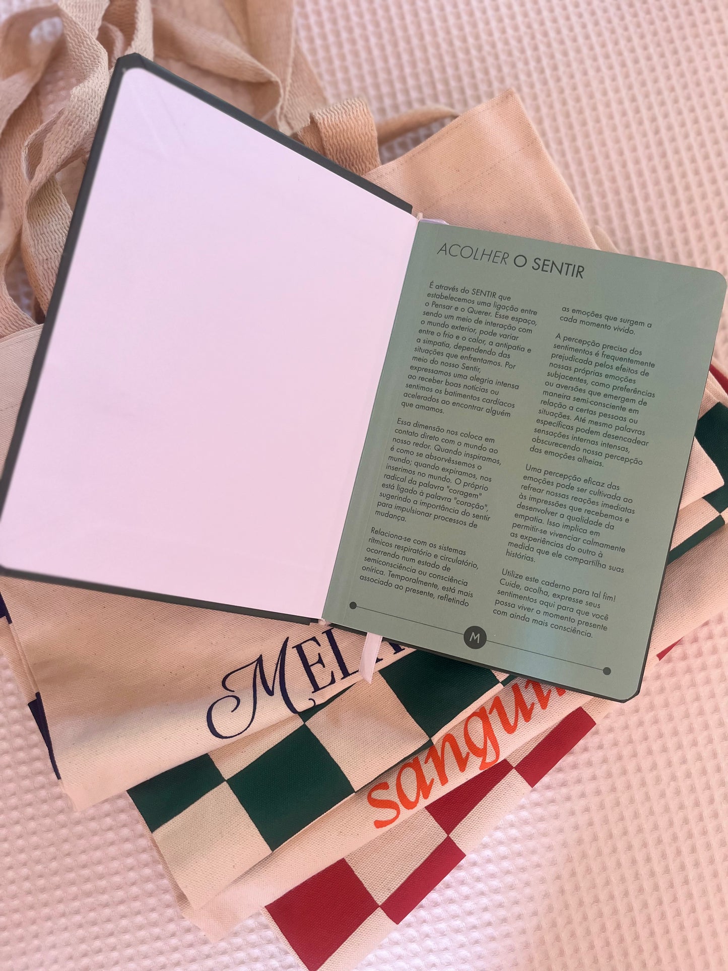 Kit QUATRO FORÇAS DA ALMA — 4 Bolsas Temperamentos + Caderno Sentir